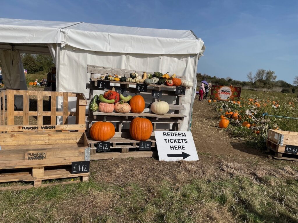 pumpkin options and prices